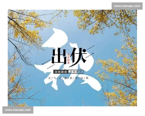 出伏时节养生关键指南助你平稳过渡由热转凉保持健康体魄